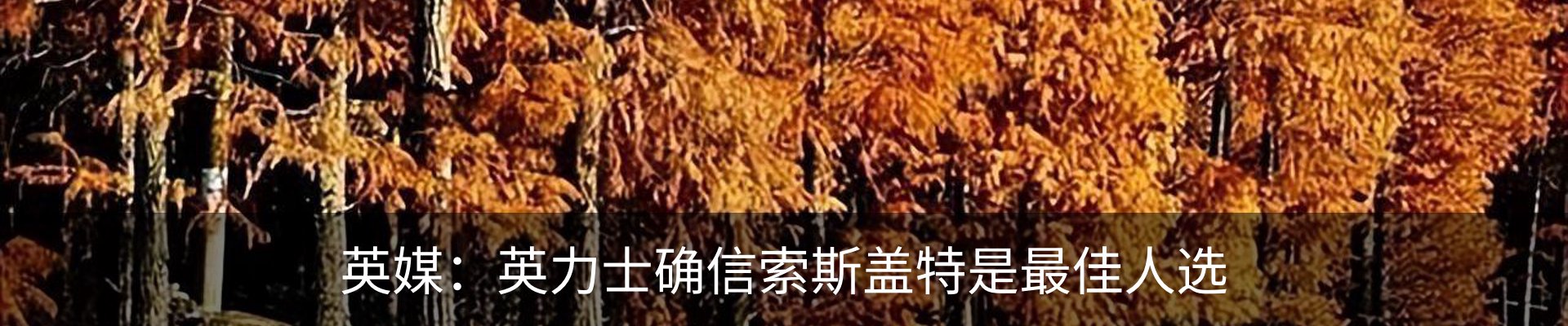 最新动态